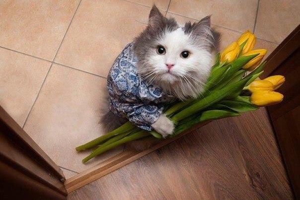 Картинка я принёс тебе цветок Картинка я принёс тебе цветок