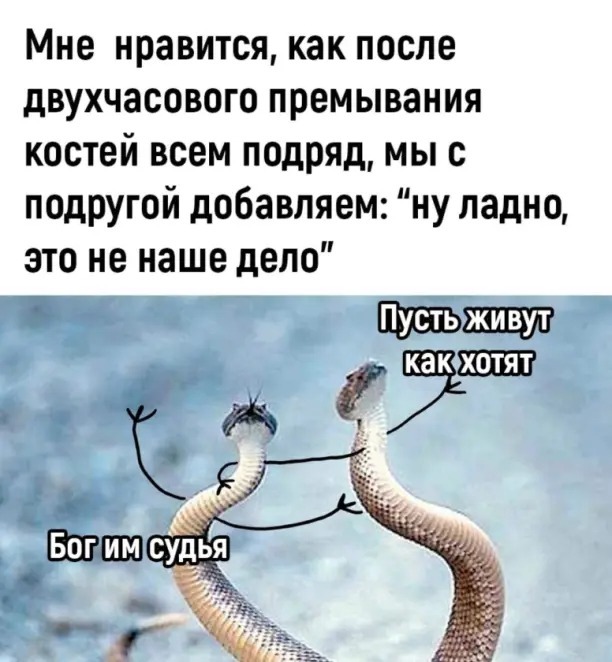 Нет ничего ядовитей на свете чем дружный женский коллектив картинка