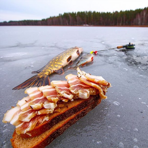 Бутерброд на рыбалку мужу