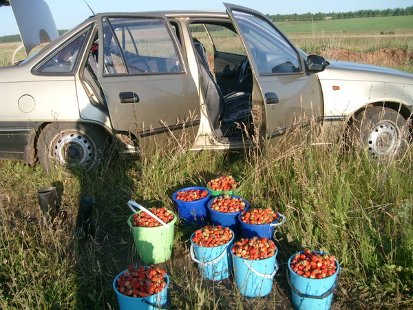 Погода село рождественка