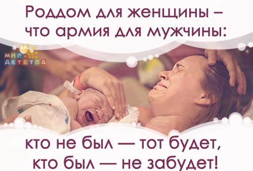 Поехала в роддом смешные картинки, про смешные праздники