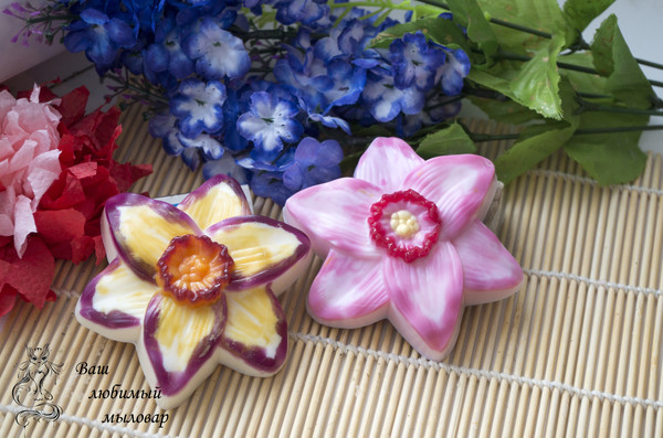 нарциссы
красивый и нежный цветок понравится всем, имеет прекрасный аромат мимозы и белой розы.
Цена: 40 рублей