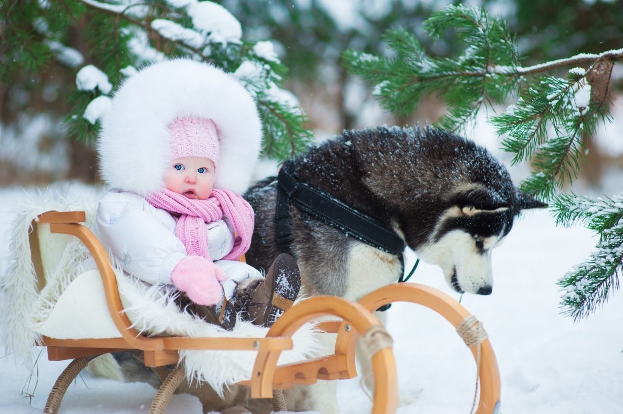 фото дня на mail ru