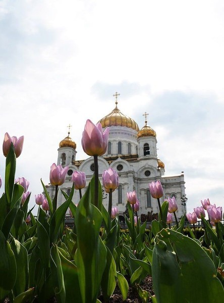 "Сегодня человек может быть и очень хорош, но люди изменчивы. Всегда полезна осторожность. Всякого человека держи на небольшом расстоянии от себя. Пусть Бог будет наставником твоим, а не люди".
Старец Иероним Эгинский