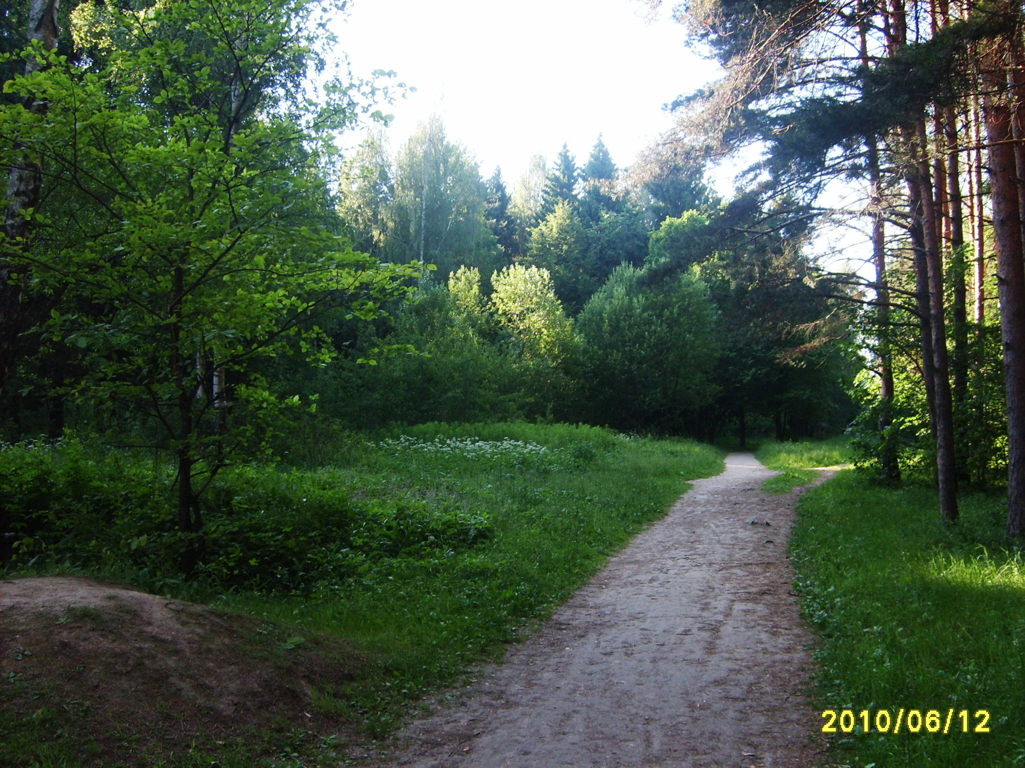 Леса Подольска