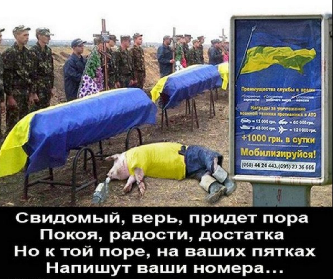 Укропов взяли. Хохол. Приколы про украинцев. Весёлые картинки проукраинцев.