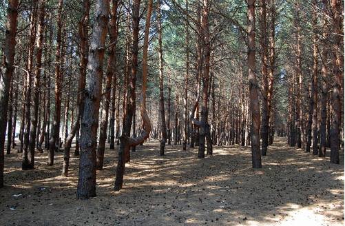 Тарангул казахстан