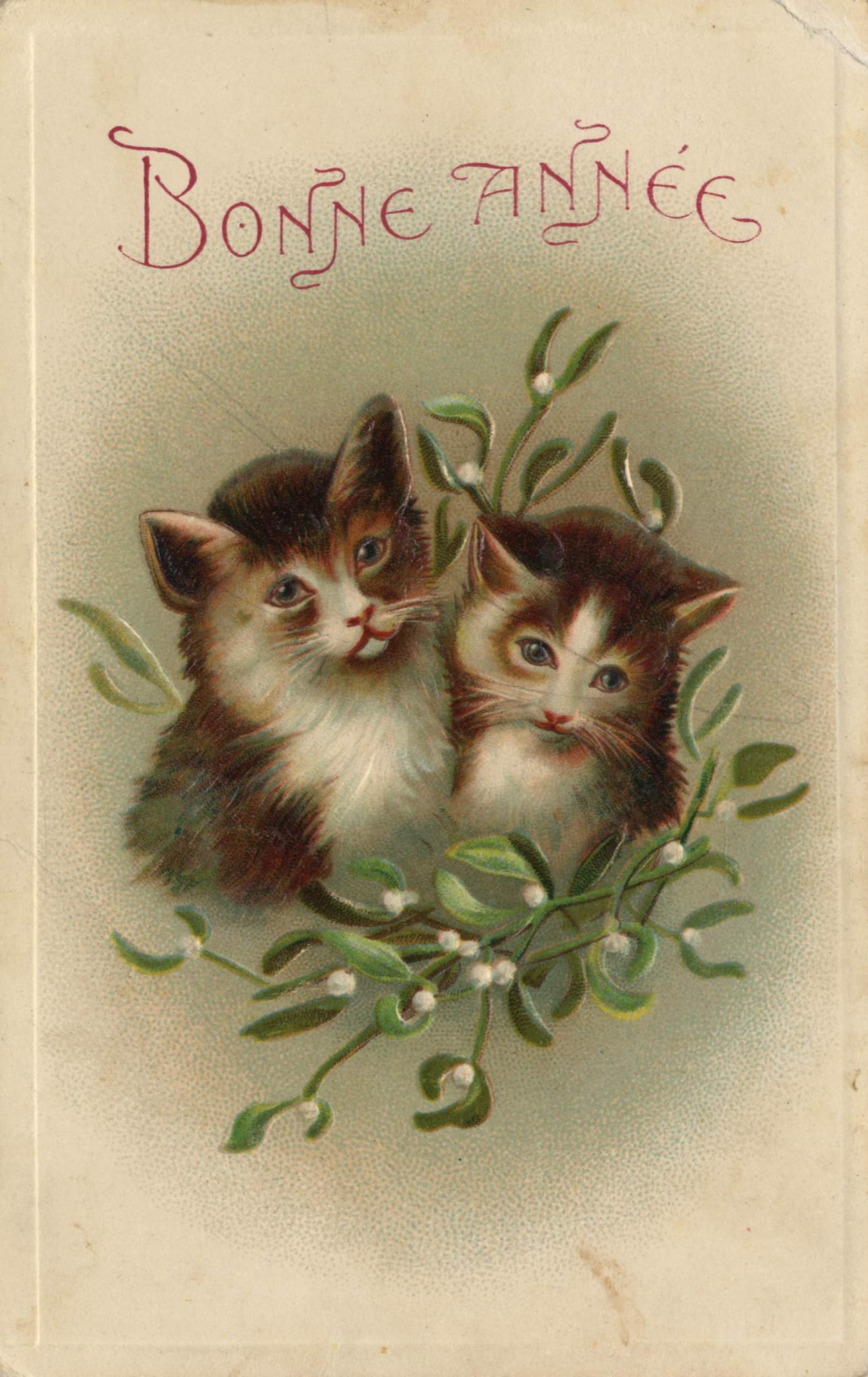 Первые открытки с котятами