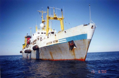 Family ship. БАТМ Чепик. БМРТ Николай Чепик. Николай Чепик судно. БМРТ Анатолий Пономарев.